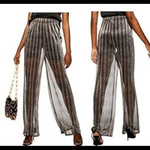 Fun Party Sheer pants